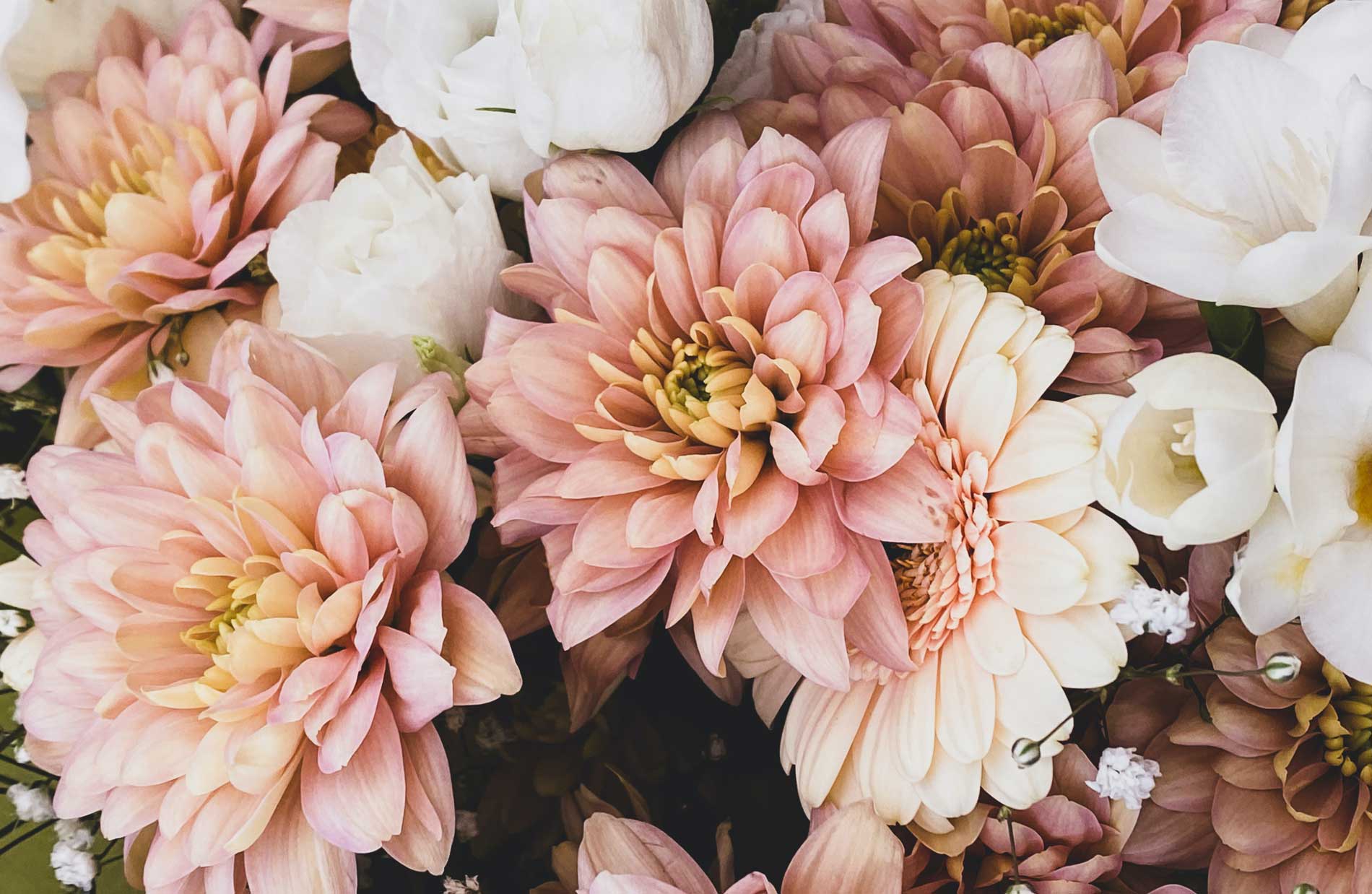 Definitely Divine: The Awakening